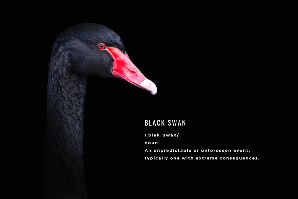 Black Swan Events - The Most Impactful Economic Shocks in Global History 1