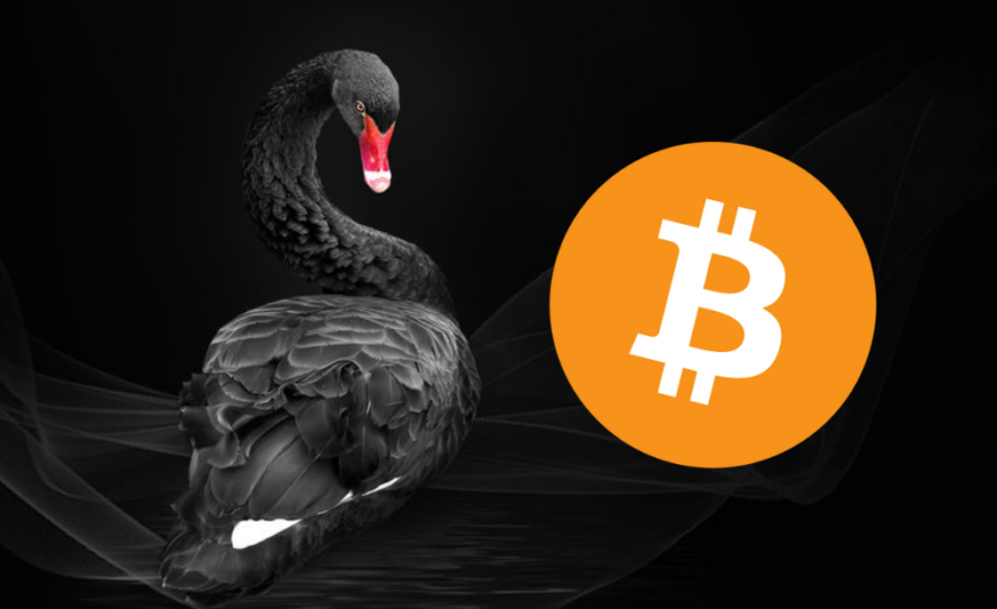 Black Swan Events - The Most Impactful Economic Shocks in Global History 2