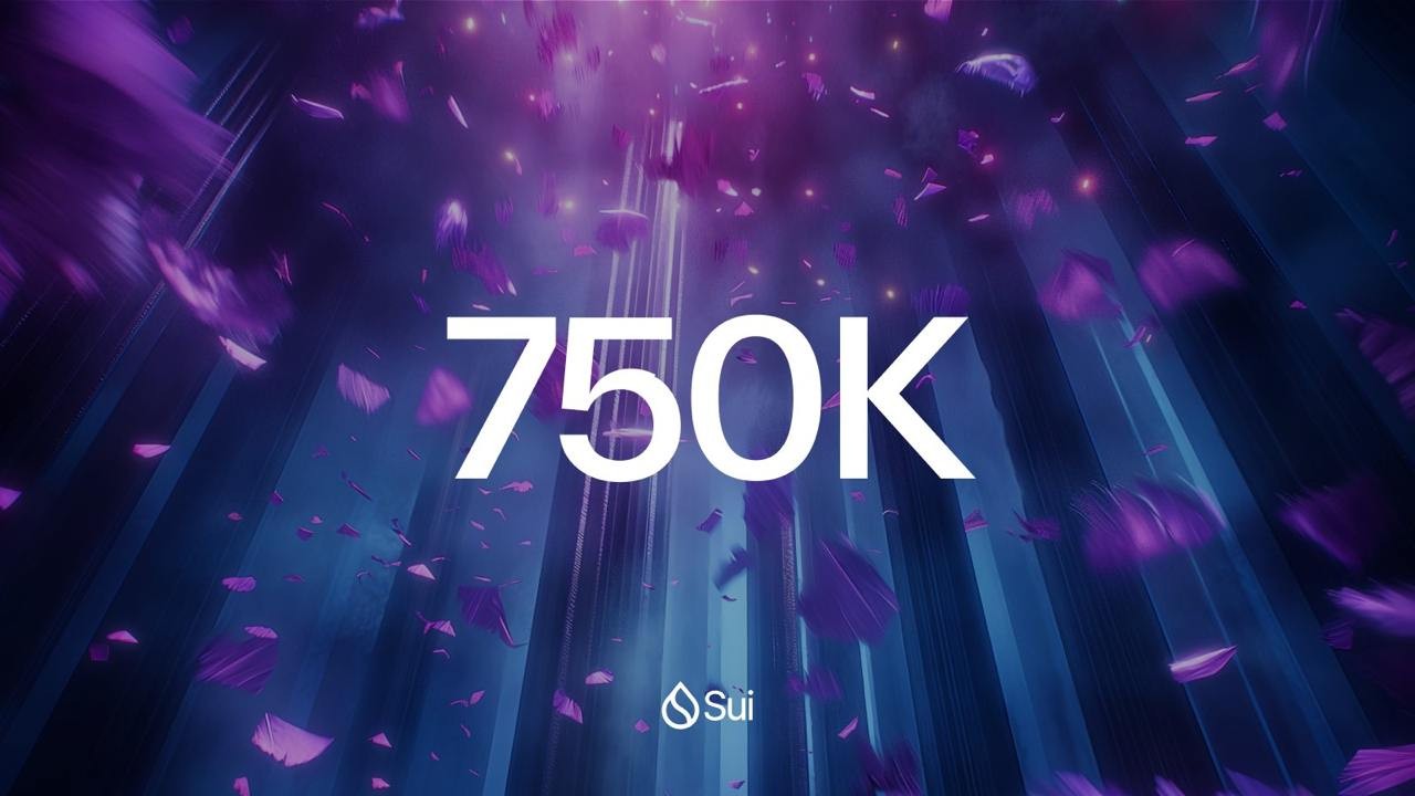 Sui Network Updates W40+W41: USDC Launch, Sui Bridge, and Major Ecosystem Milestones 7