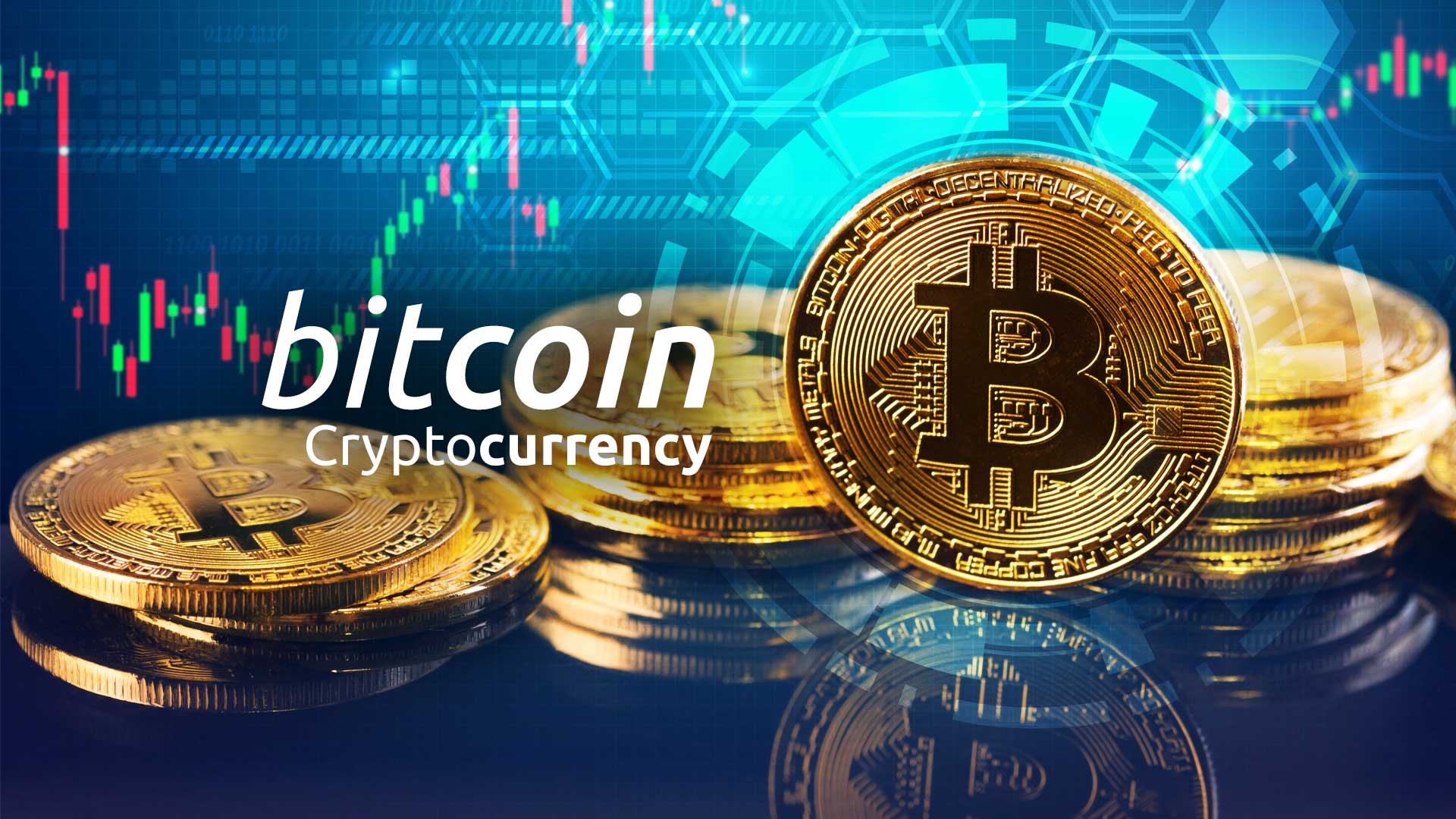 The Ultimate 2024 Bitcoin Trading Guide: Strategies, Tips, and Market Trends 2