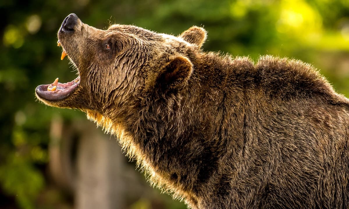 Crypto Bloodbath: $581M in Derivatives Liquidated Amid Bitcoin’s Fall 1