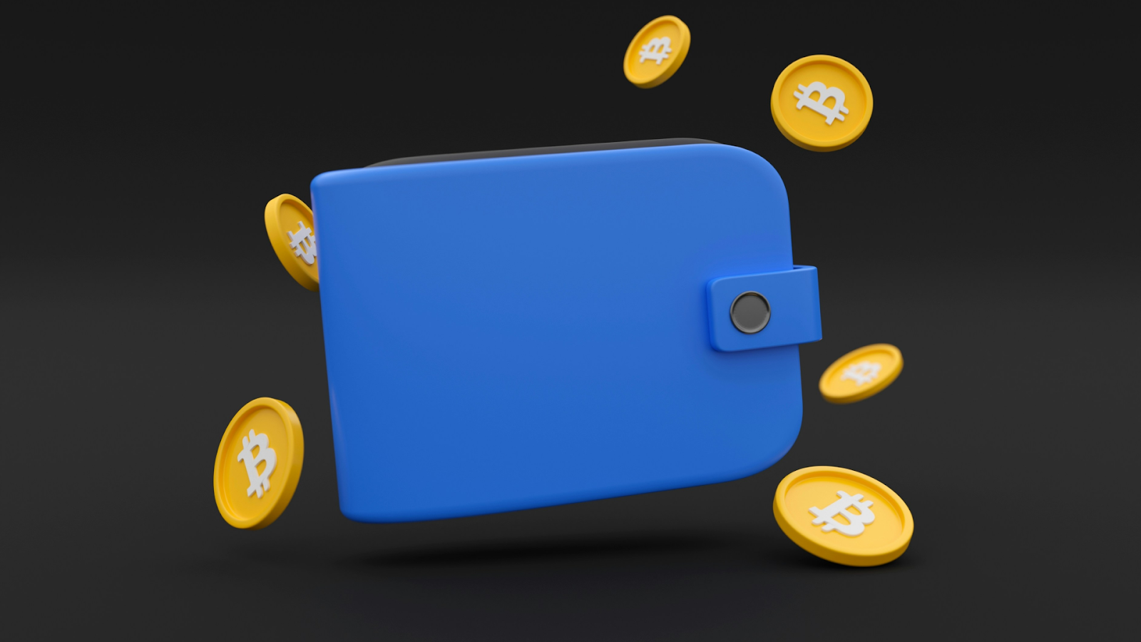 Understanding the Basics of Crypto Wallets 2