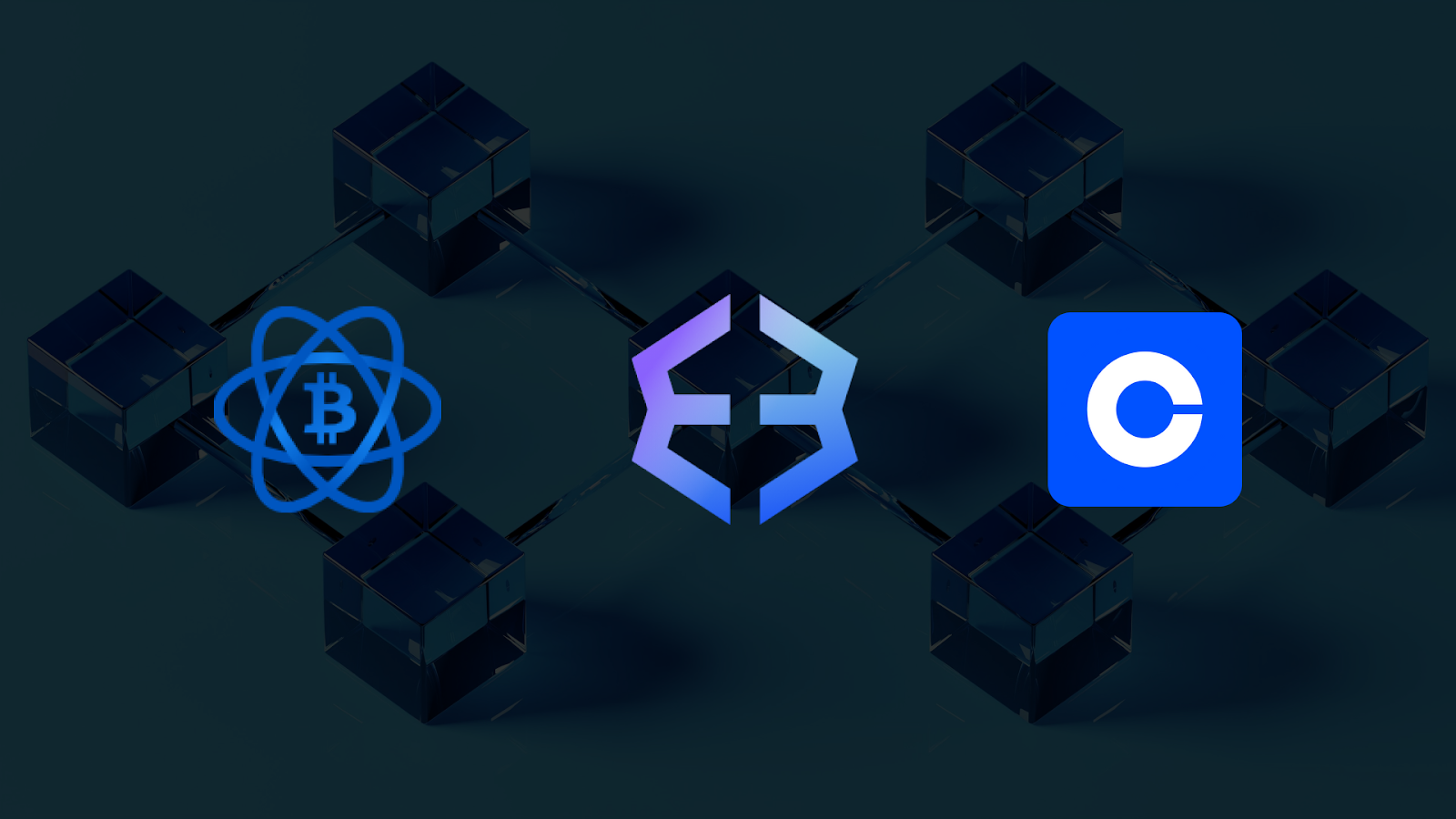 Understanding the Basics of Crypto Wallets 6