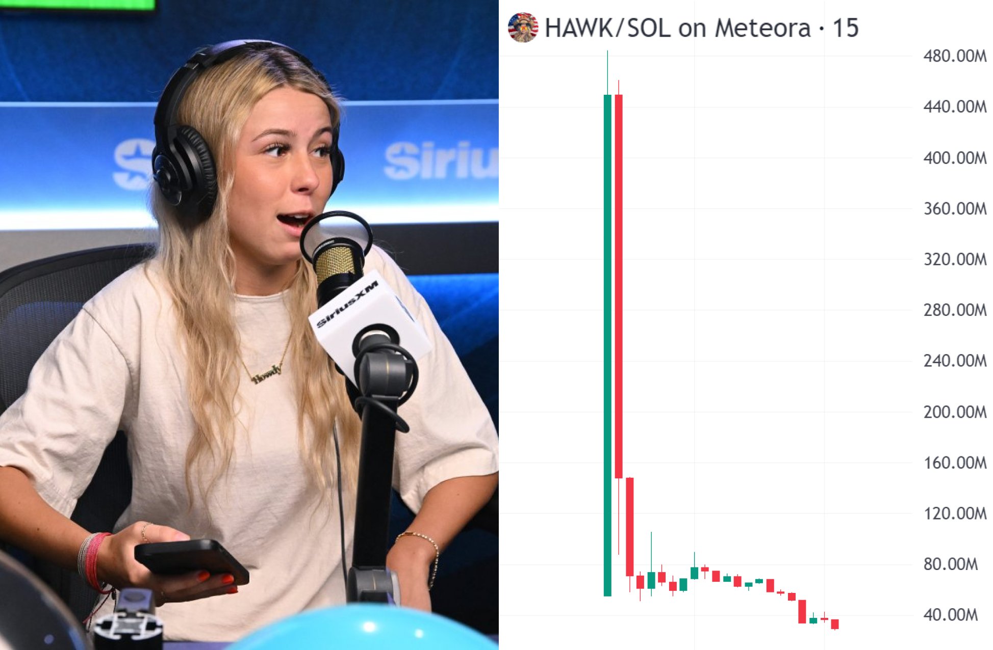 The Rise and Fall of $HAWK Coin: A Lesson in Crypto Volatility 1