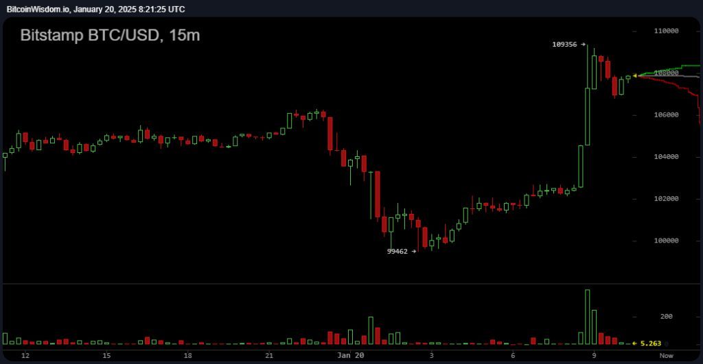 New BTC Milestone: Top Crypto Asset Surges Past $109,000, Selkis Warns Trump 2