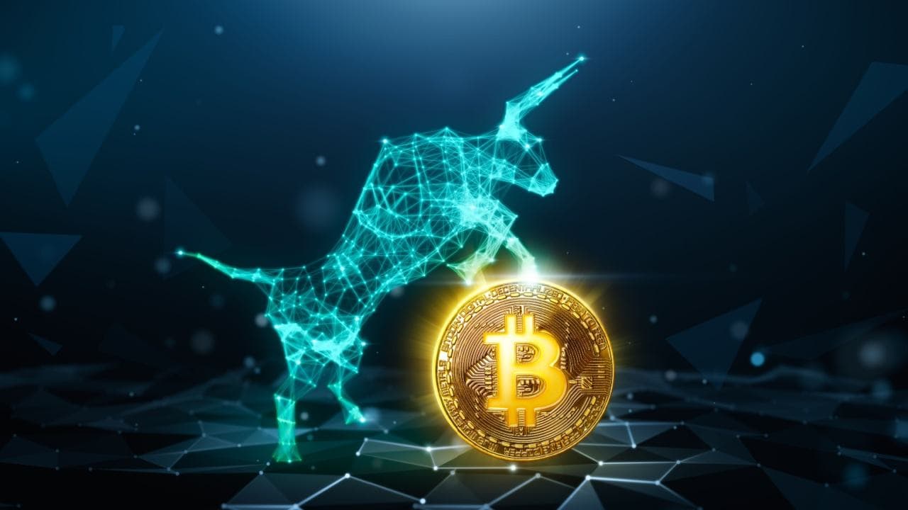 Legendary Cypherpunk Claims Bitcoin Is in the 'Early Stages' of a Bull Market 1