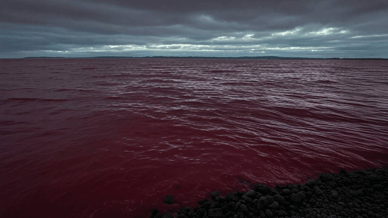Sea of Red: Altcoins Bleed Billions, Crypto Market Sinks to $2.84 Trillion 1