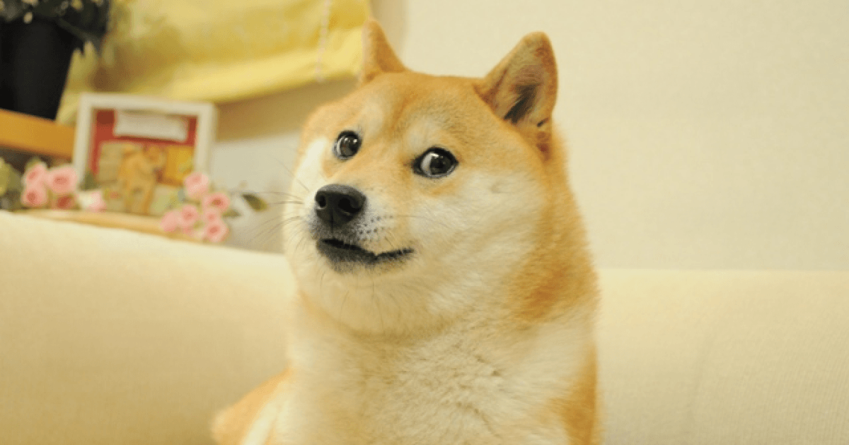 What Is Dogecoin? How a Joke Cryptocurrency Became a $25B Phenomenon What Is Dogecoin? How a Joke Cryptocurrency Became a $25B Phenomenon 2
