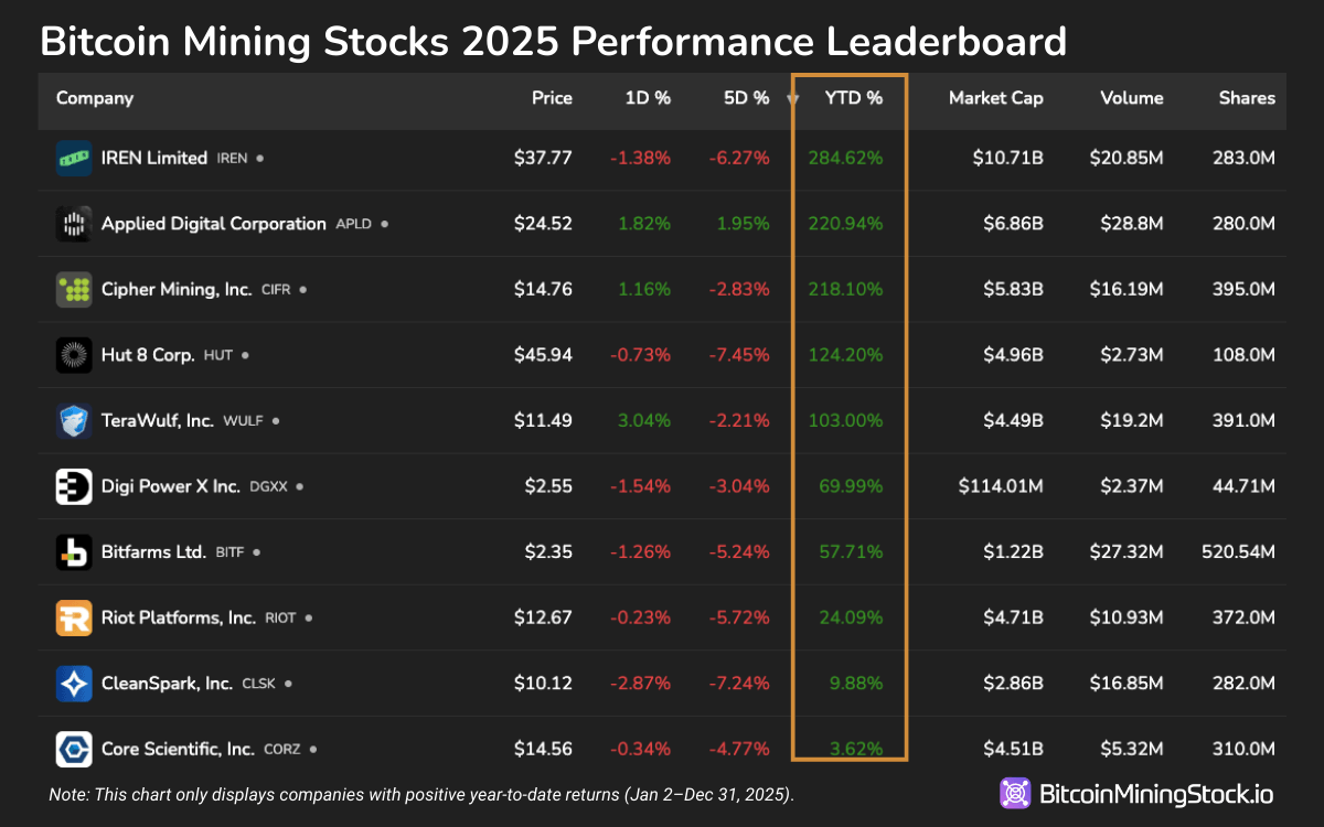 2025 Bitcoin Mining Stock Performance: A Clear Market Preference 3