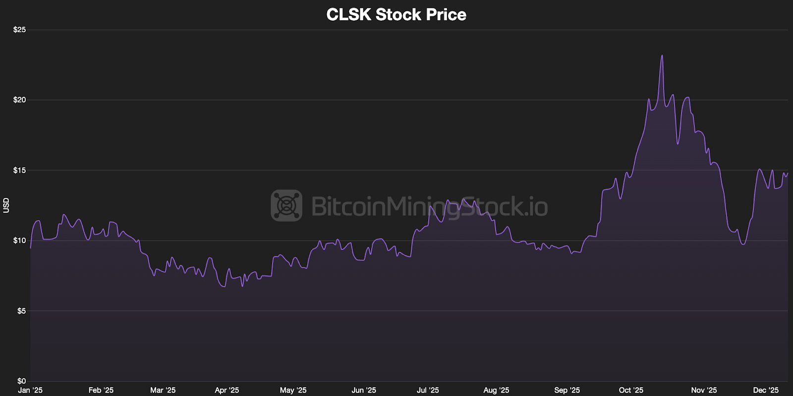2025 Bitcoin Mining Stock Performance: A Clear Market Preference 5