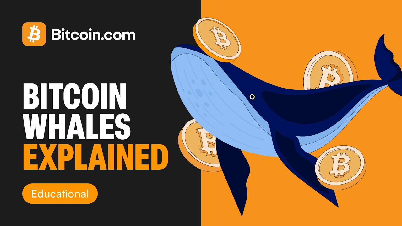What are Bitcoin Whales? 2