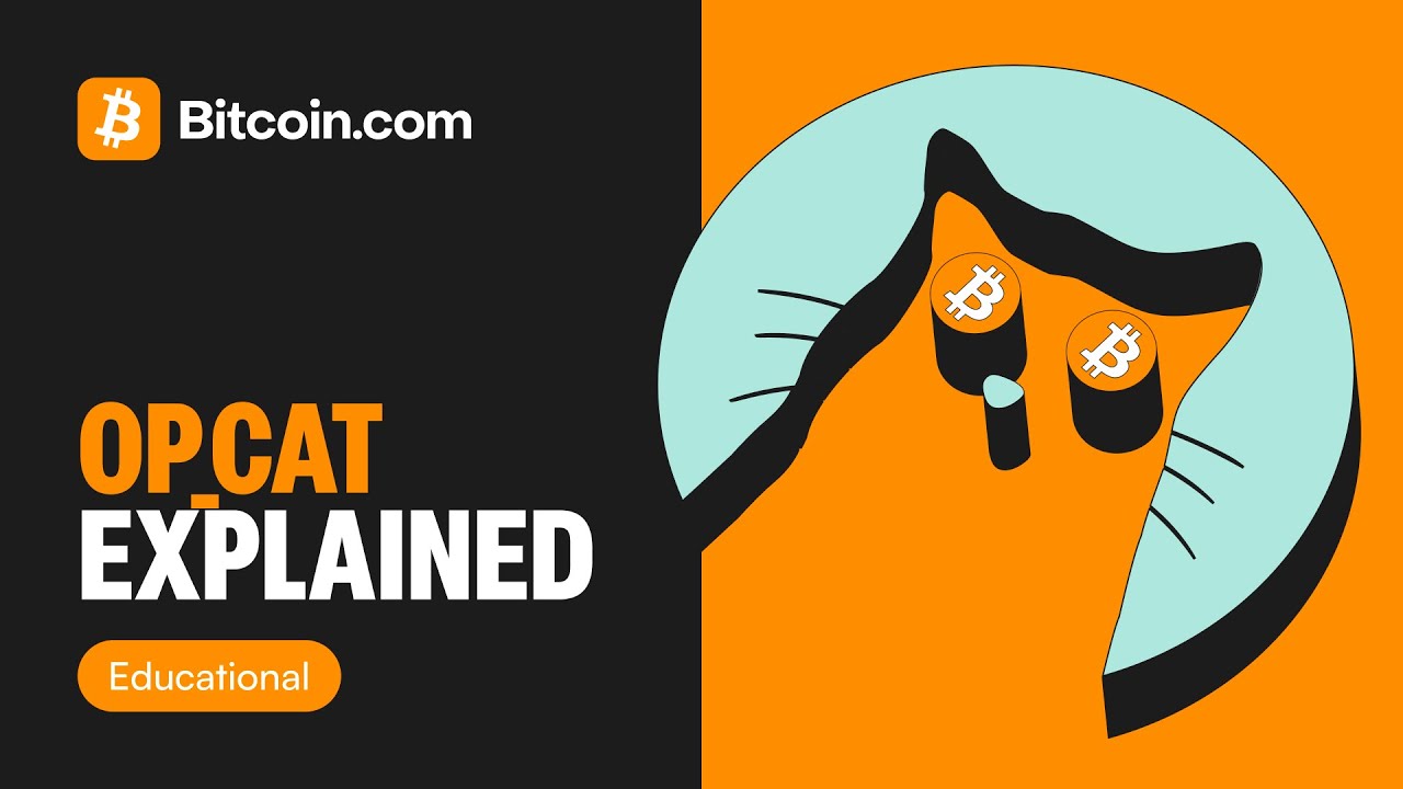 What is Bitcoin OP_CAT? 2