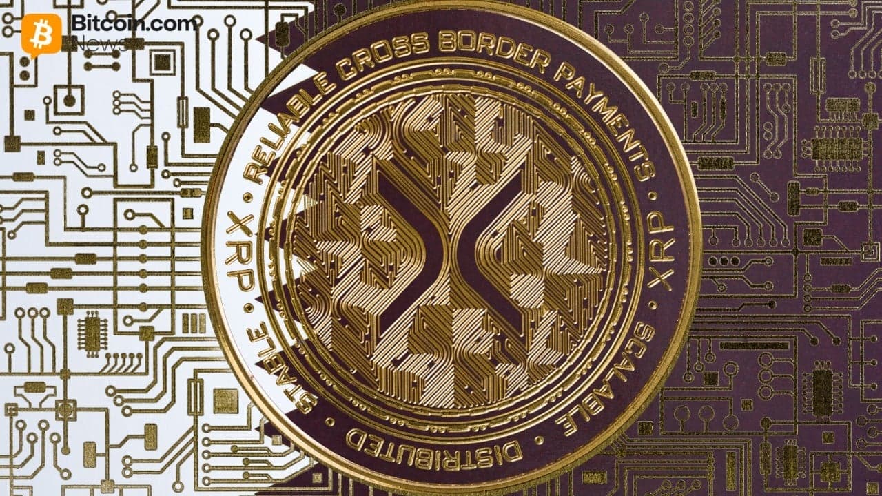 XRP Ledger Activity Jumps as Price Tests $1.55, Large Wallets Set Record 1