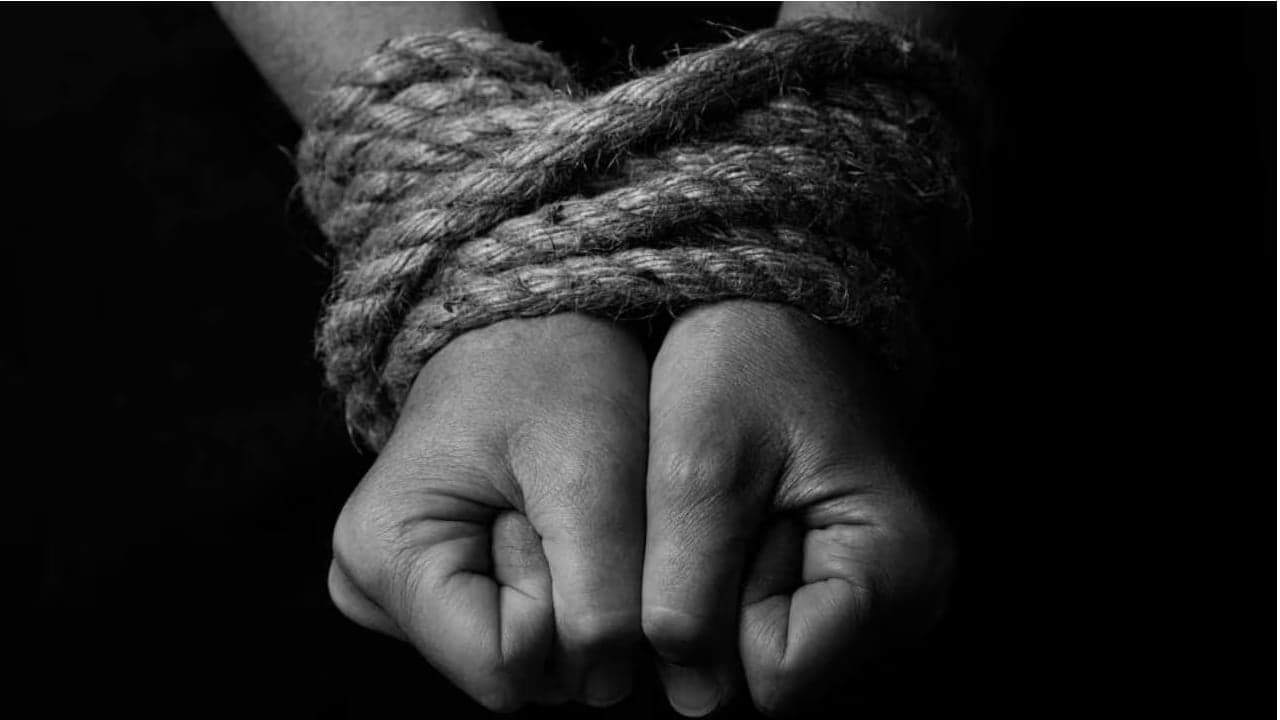 Massive Bitcoin Theft Case Draws Guilty Plea in Violent Kidnapping Plot 1