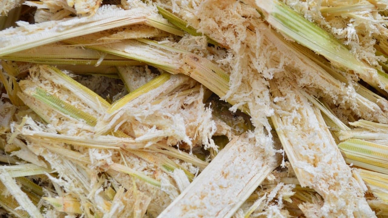 Sugarcane-Powered Bitcoin Mine to Launch in Brazil With Tether Backing 1